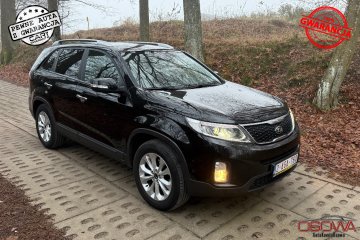 2.0crdi 7.os skóry wentylowane odgrzewane Navi ledy bixenon kamera gwa